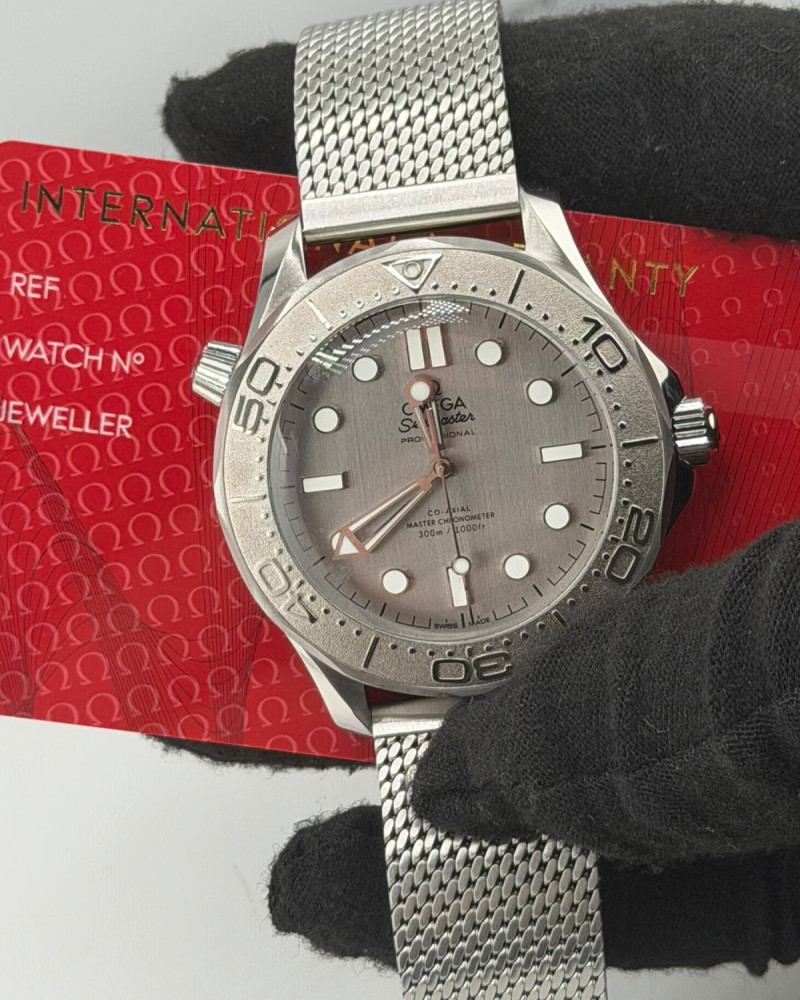 Omega Seamaster Diver 300M 007 Edition Titanium Grey Dial On Titanium Mesh Bracelet